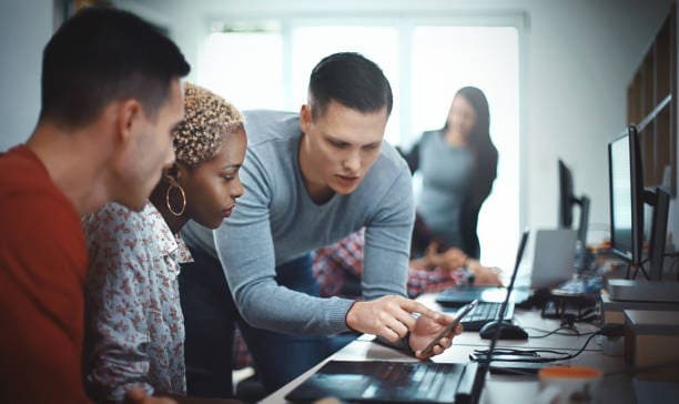 Mobile Application Developer- occupations in the field of information technology